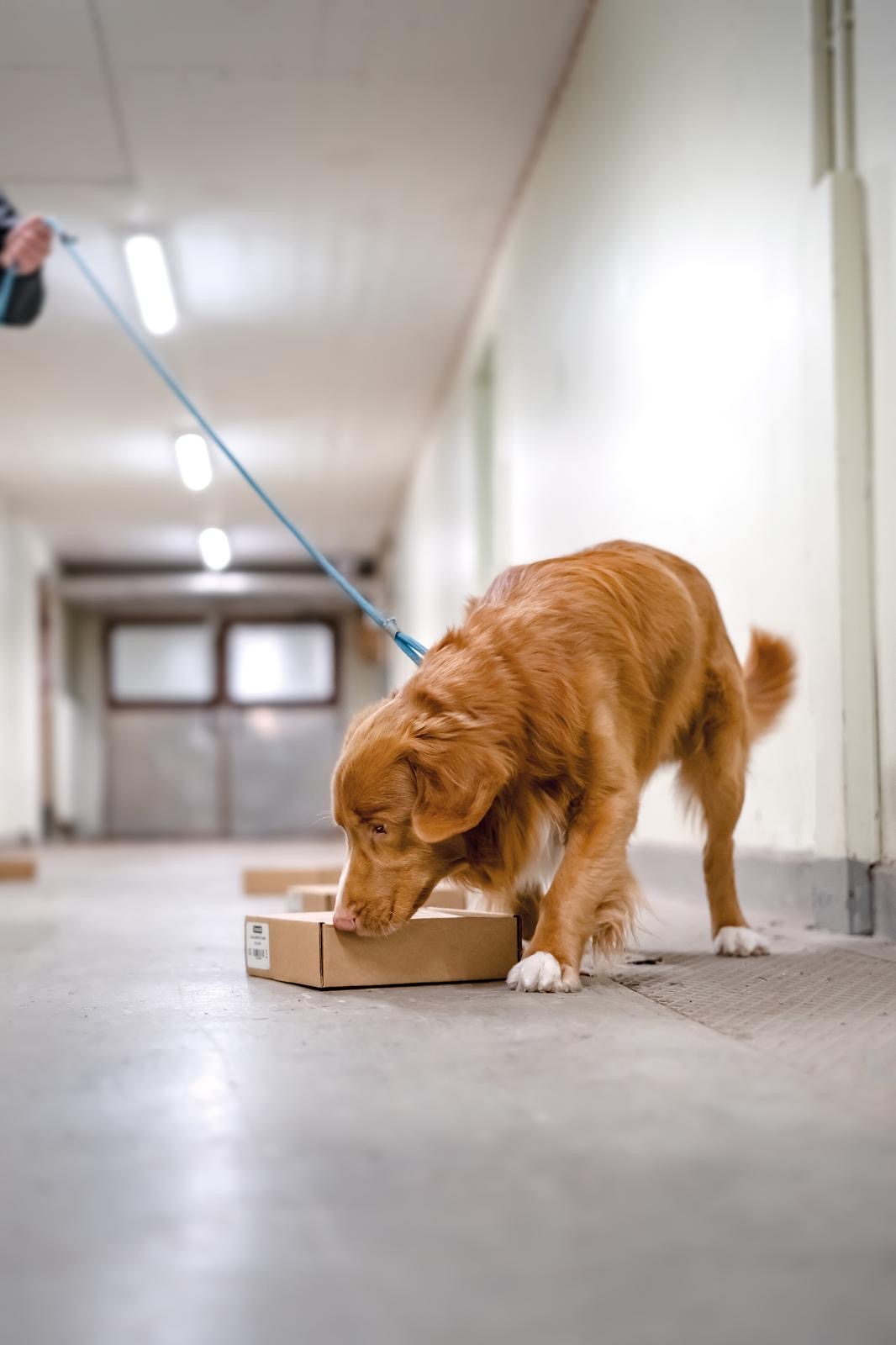 Klicka på bilden för anmälan